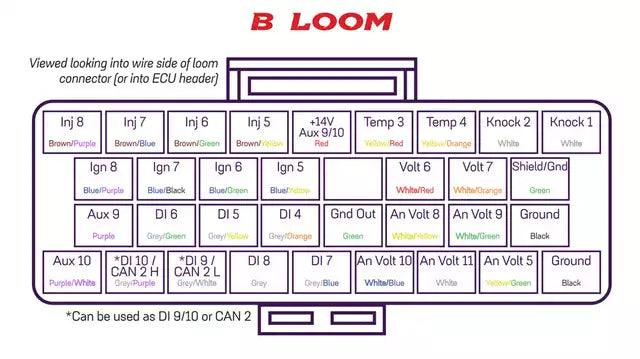 Link ECU Connector B + Pins - Motorsport Supplies